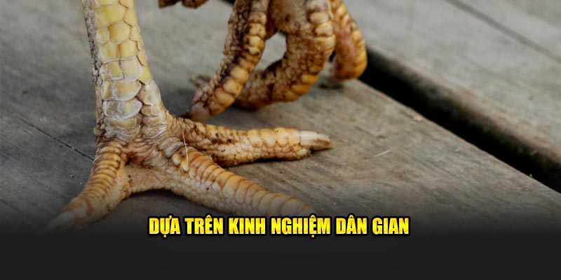 Dựa trên kinh nghiệm dân gian