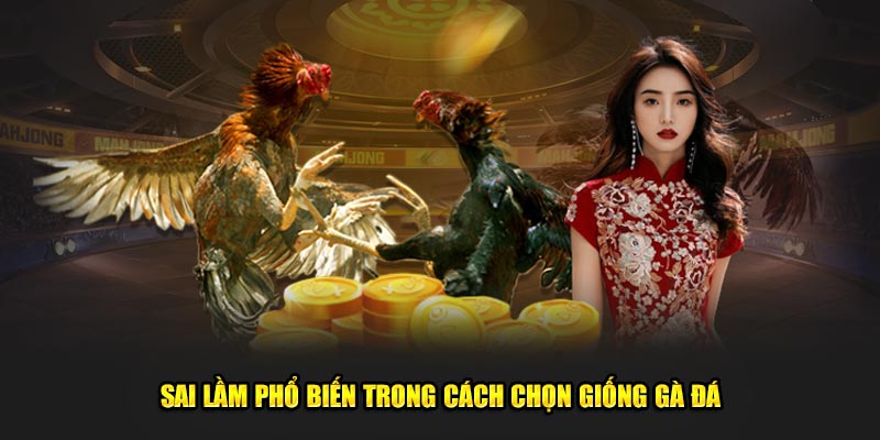 Sai lầm phổ biến trong cách chọn giống gà đá